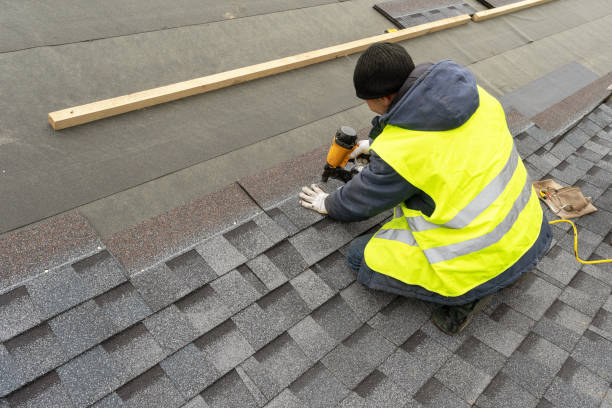 Roof Gutter Cleaning in Mokena, IL